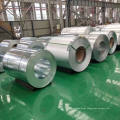 Galvanized Steel Coil Gi Coils